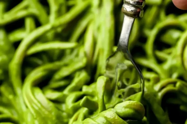 Pasta Verde